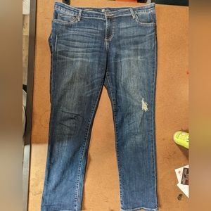 Kut from the Kloth Catherine Jeans